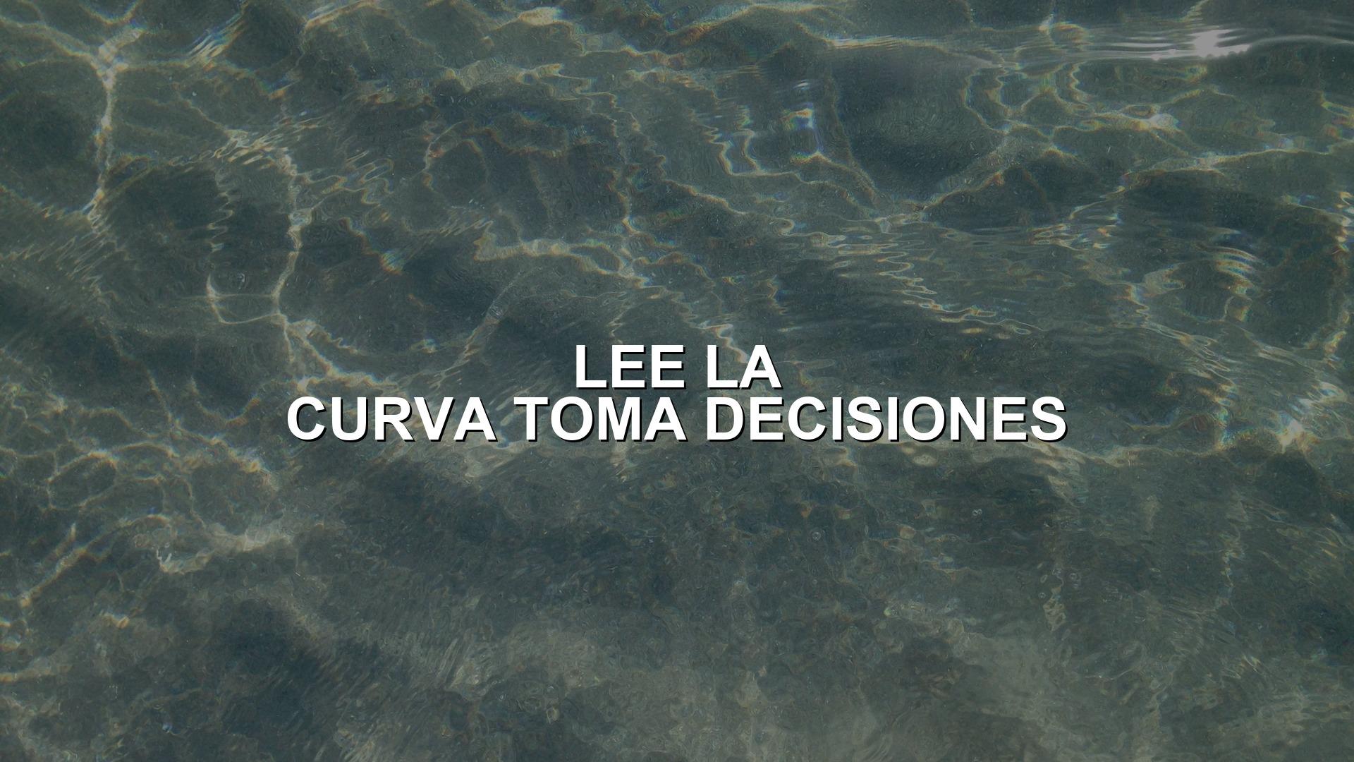 Cómo leer la curva de rendimiento de una bomba sumergible