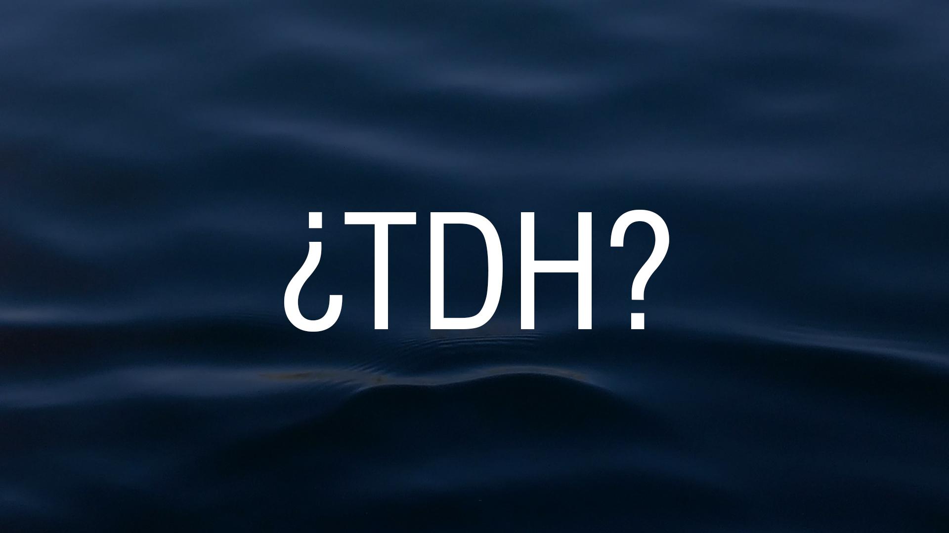 4 componentes del TDH que definen la potencia de tu bomba de pozo profundo