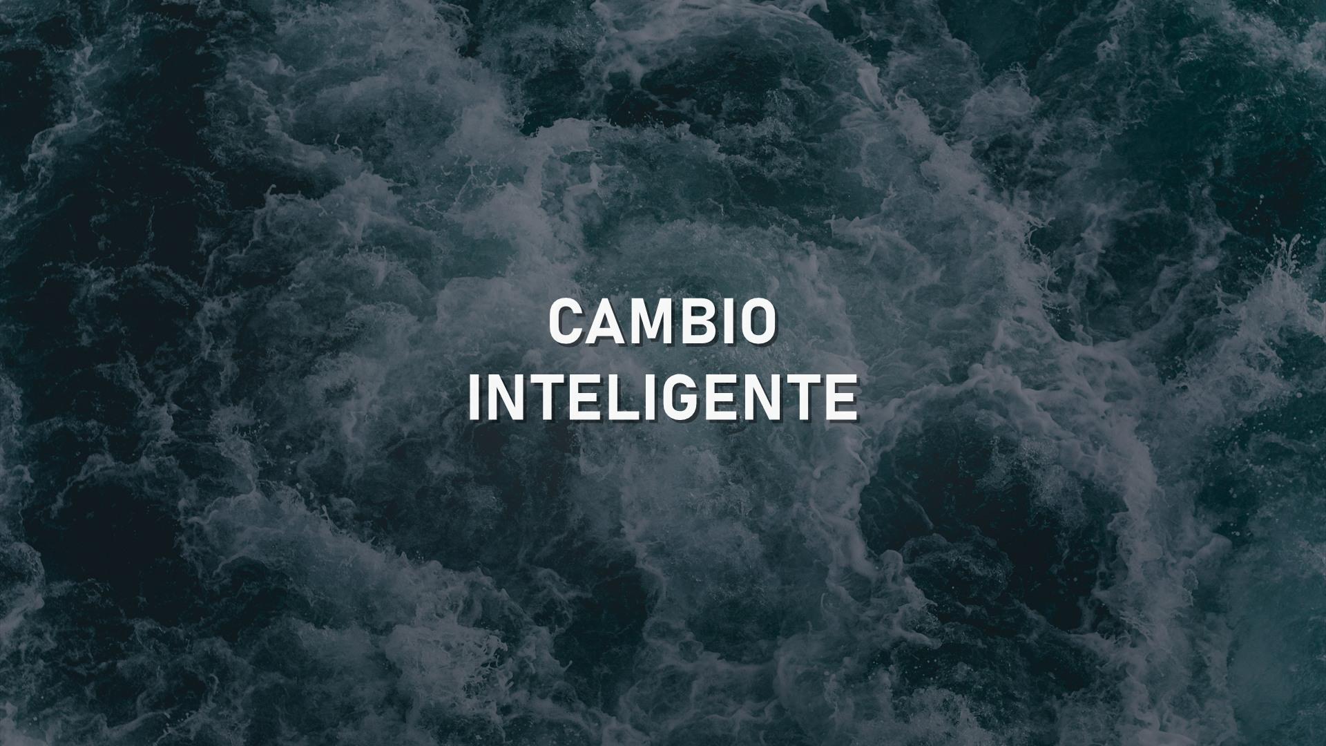 Las mejores alternativas a Franklin Electric en bombas sumergibles para México en 2026