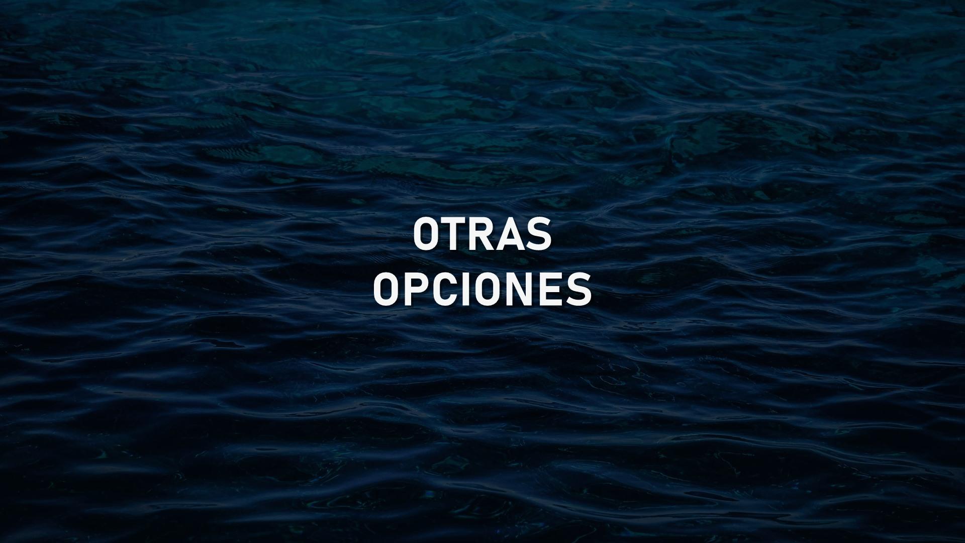 Las mejores alternativas a Barmesa Pumps en bombas sumergibles para México en 2026